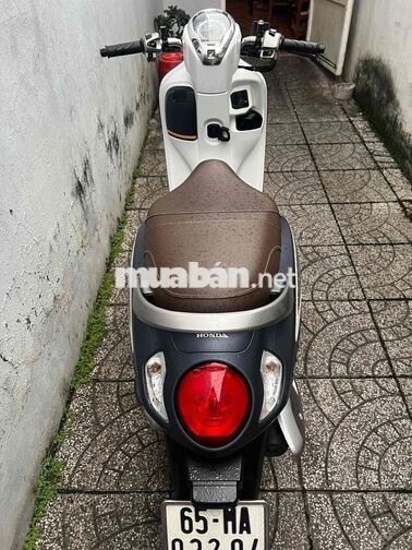 4c scoopy bs65 zin cực đẹp