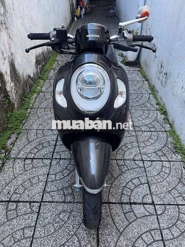 4c scoopy bs65 zin cực đẹp