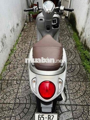 4c scoopy bs65 zin cực đẹp