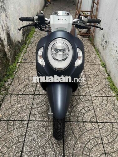 4c scoopy bs65 zin cực đẹp