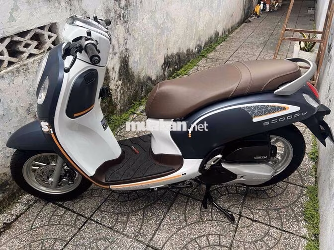 4c scoopy bs65 zin cực đẹp