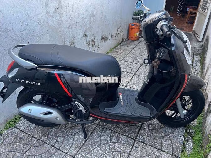 4c scoopy bs65 zin cực đẹp