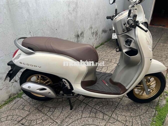 4c scoopy bs65 zin cực đẹp