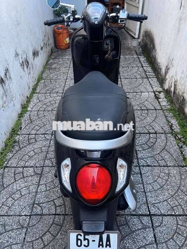 4c scoopy bs65 zin cực đẹp