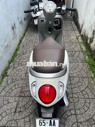 4c scoopy bs65 zin cực đẹp