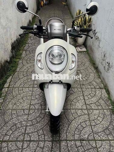 4c scoopy bs65 zin cực đẹp