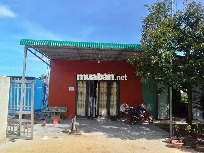 CẦN BÁN 2 SÀO RẪY CÀ PHÊ, SẦU RIÊNG SẴN NHÀ Ở DỐC THA LA, LỘC THÀNH.