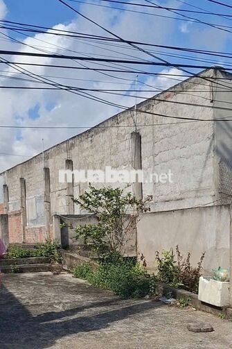 Bán nhà nát tiện xây mới. 8,28 mét * Dài 22 mét nở hậu– Hướng Đông Bắc