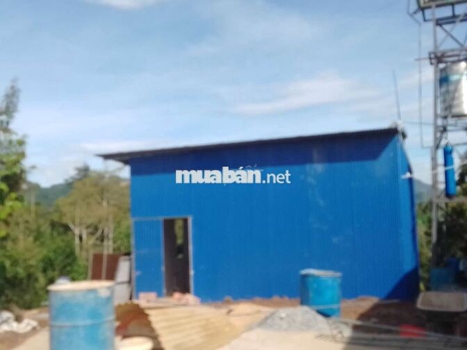CẦN BÁN 2 SÀO RẪY CÀ PHÊ, SẦU RIÊNG SẴN NHÀ Ở DỐC THA LA, LỘC THÀNH.