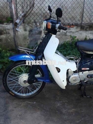 Cúp đầu vuông 50cc máy êm ru fun chức năng biển 64