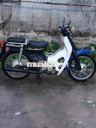 Cúp đầu vuông 50cc máy êm ru fun chức năng biển 64