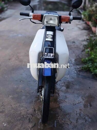 Cúp đầu vuông 50cc máy êm ru fun chức năng biển 64