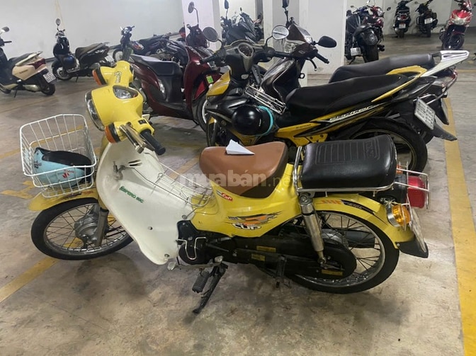 Bán xe Cub 50 cm cho học sinh không cần bằng lái