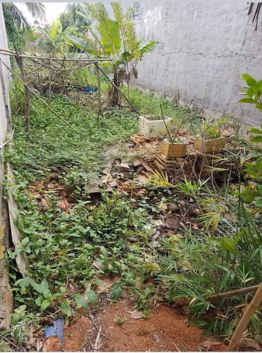 lỗ bán gấp đất thổ cư , sổ hồng riêng , đường đan tới đất sạch sẽ đẹp 