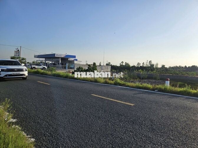 BÁN ĐẤT MẶT TIỀN ĐT856 ĐỒNG THÁP – DT: 2700m2 🔥 Giá TỐT: 3,5 tỷ