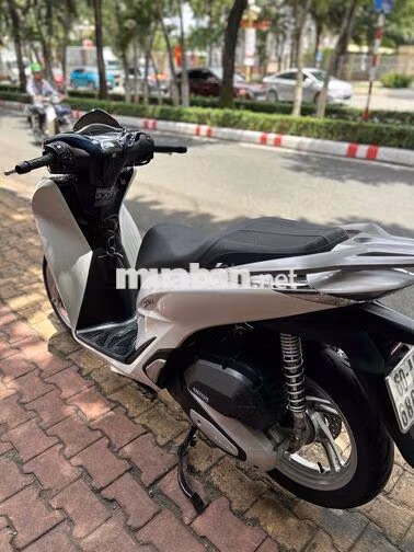 Honda SH Trắng