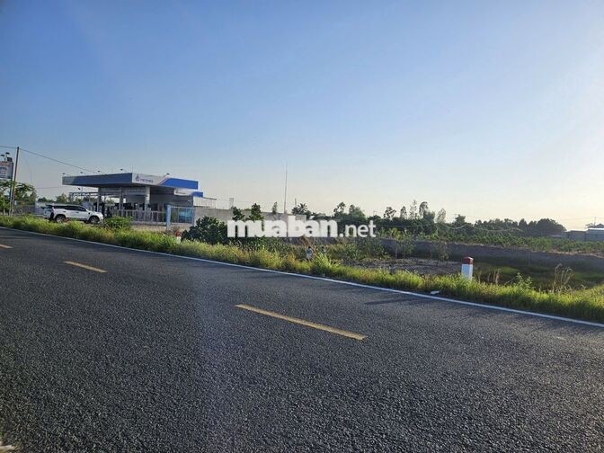 BÁN ĐẤT MẶT TIỀN ĐT856 ĐỒNG THÁP – DT: 2700m2 🔥 Giá TỐT: 3,5 tỷ