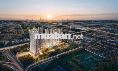 🏠 CHÍNH CHỦ CHUYỂN NHƯỢNG HĐMB TT AVIO – CĂN AVO 19.05 – TẦNG 19
