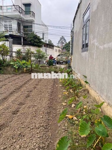 Lô Đất ở Vị Trí Cao - Đẹp (Đường Đồng Khởi 1 xẹc - 200m)
