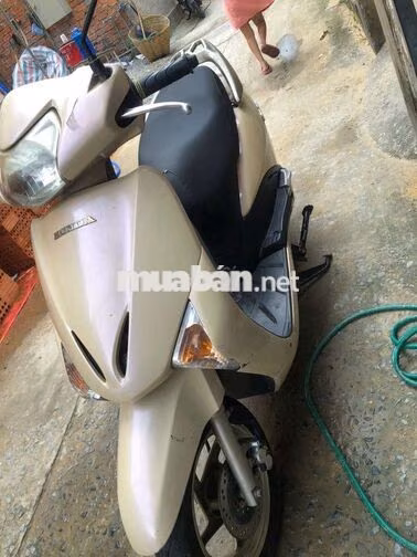 Honda Lead 2009 Vàng-Đen