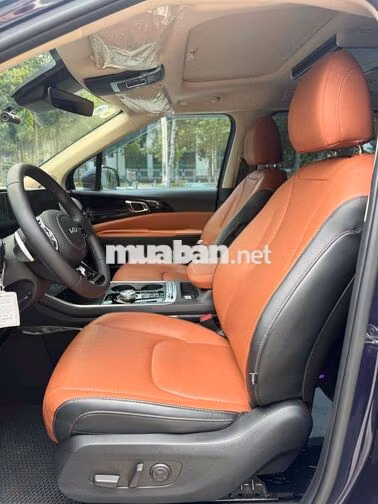 Kia Carnival Signature 2024 Xanh 27000 km