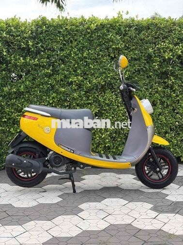 Minion 50cc 2022 BSTP Máy Zin Xe Đẹp