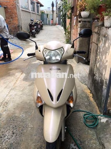 Honda Lead 2009 Vàng-Đen