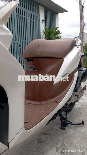 Honda Vision Trắng