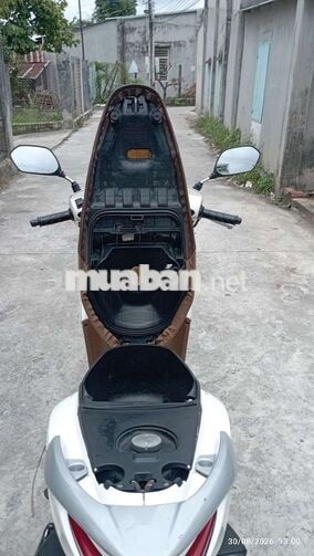 Honda Vision Trắng