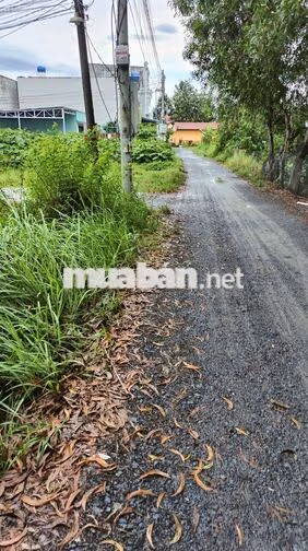 Chính chủ cần bán lô đất gần Trạm Y tế xã Phước Lâm giá 450 triệu/90m2