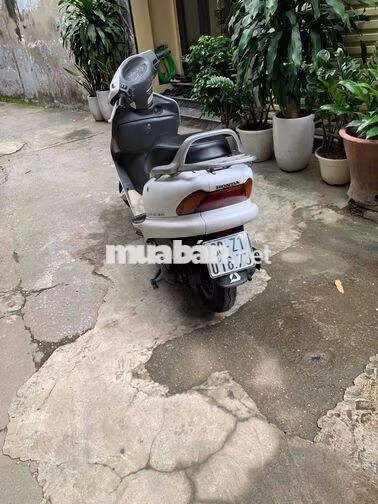 Honda Spacy 2015 Trắng Nhật