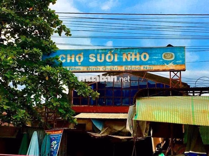 🏕️ VỀ VƯỜN - HƠN 1 SÀO 3 ĐẤT VƯỜN TRÁI CÂY SINH THÁI CHỈ 689 TRIỆU! 🏕️