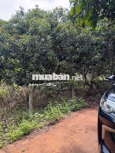 BÁN ĐẤT 1.008M² – GẦN KCN XUÂN QUẾ, SÂN BAY LONG THÀNH