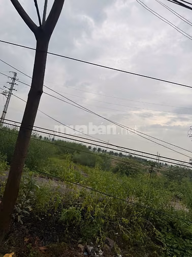 SIÊU PHẨM ĐẦU TƯ - BÁN 2 MẢNH ĐẤT VÀNG ĐỐI DIỆN CỔNG KCN TRÁC VĂN - PH
