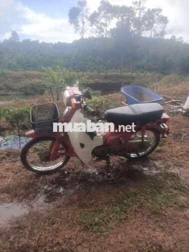 DD 70cc bán hay giao lưu