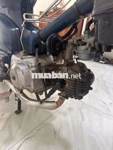 Honda Cub 81 50cc Xanh