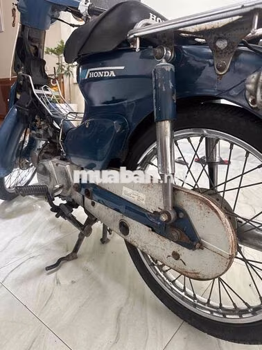 Honda Cub 81 50cc Xanh