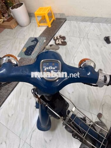 Honda Cub 81 50cc Xanh
