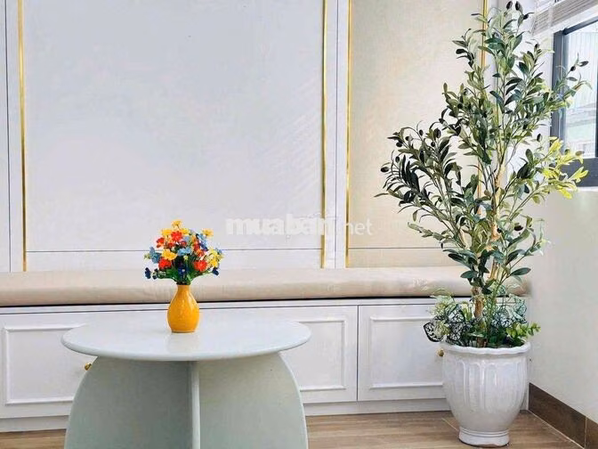 cho thuê nhà mới đẹp hải châu lê đình lý