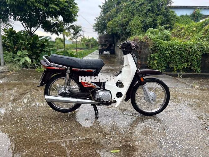 Honda Dream Nâu, Trắng Xe số