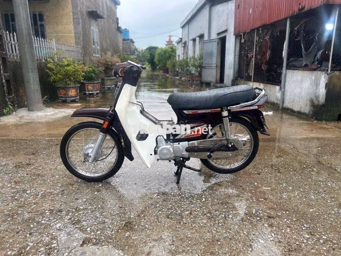 Honda Dream Nâu, Trắng Xe số
