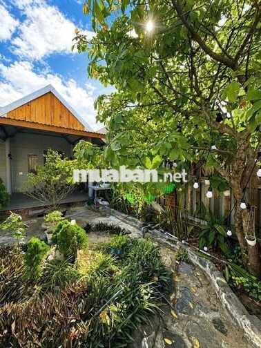 Nhà nguyên căn 90m², sân vườn, đầy đủ nội thất.