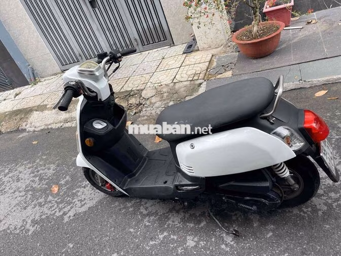 Xe tay ga SYM 50cc Trắng Nhập khẩu