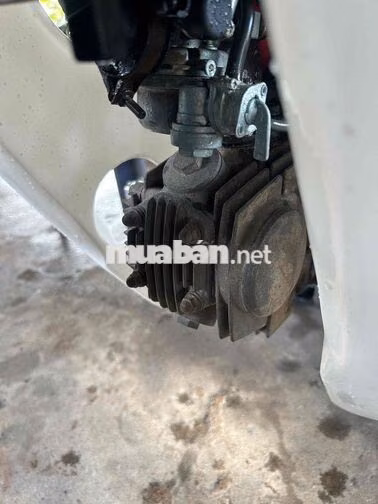 Honda Dream lùn Đen, Trắng Xe số