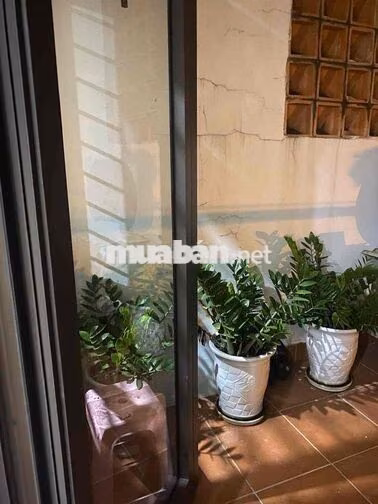 CHO THUÊ NHÀ 3 TẦNG MẶT TIỀN GẦN ĐẠI HỌC NGOẠI NGỮ
