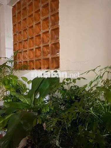 CHO THUÊ NHÀ 3 TẦNG MẶT TIỀN GẦN ĐẠI HỌC NGOẠI NGỮ