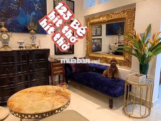 Bán nhà Lê Văn Sỹ Q3 5x9m, 4 tầng chỉ 9,8 tỷ