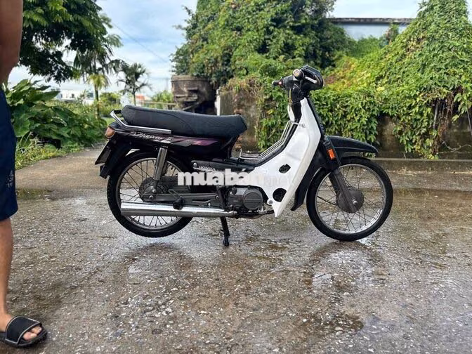 Honda Dream lùn Đen, Trắng Xe số