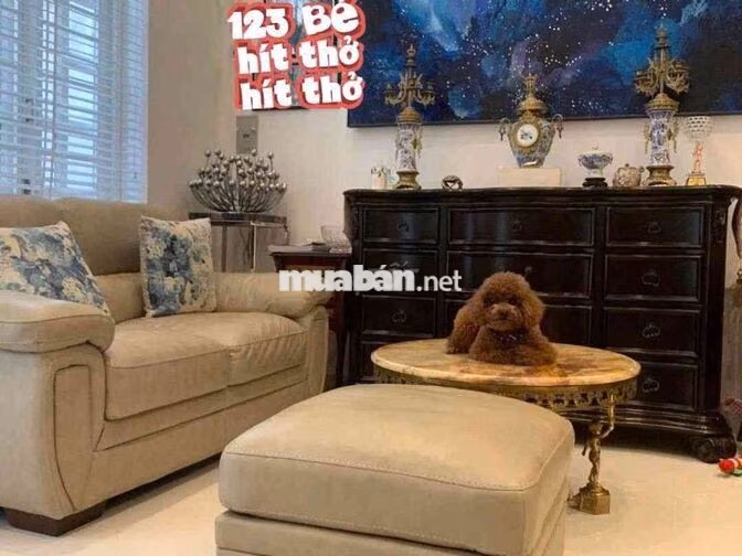 Bán nhà Lê Văn Sỹ Q3 5x9m, 4 tầng chỉ 9,8 tỷ