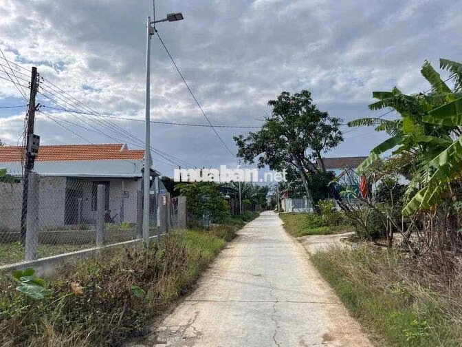 CHÍNH CHỦ CẦN BÁN NHANH ĐẤT NINH XUÂN - Khu Công Nghiệp Ninh Xuân